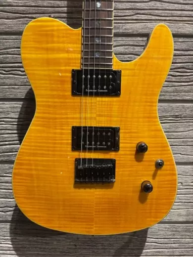 Store Special Product - FENDER SE CUSTOM TELE